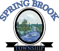 Spring Brook Township