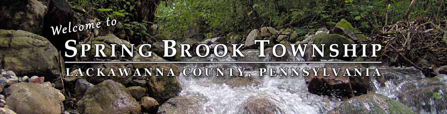 Spring Brook Township